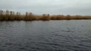 Parsun 5.8 на казанке.