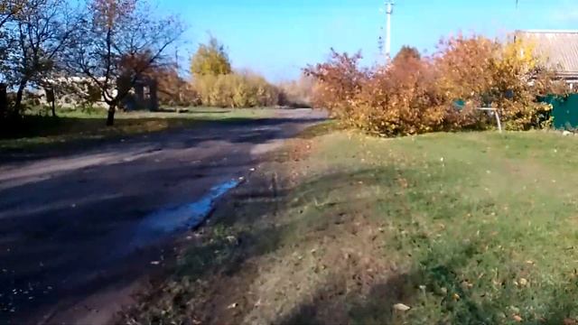 Заброшенный подвал от заброшенного дома в лесопосадке. смотреть онлайн
