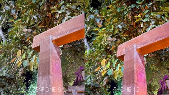 IPHONE 12 VS Asus ZenFone 8 CAMERA 📷 TEST смотреть онлайн
