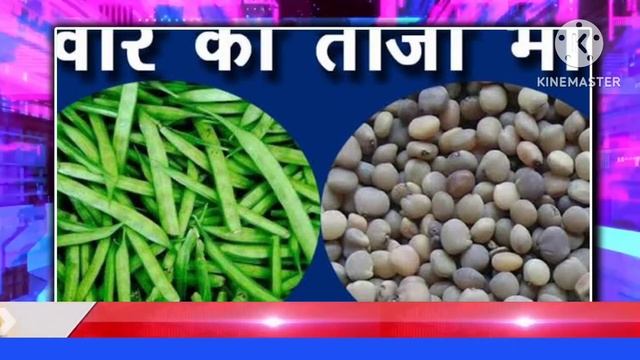 Gawar Mandi Rate, Mandi bhav, Gawar Mandi Bhav Today guar mandi bhav News, mandi bhav #mandi смотреть онлайн