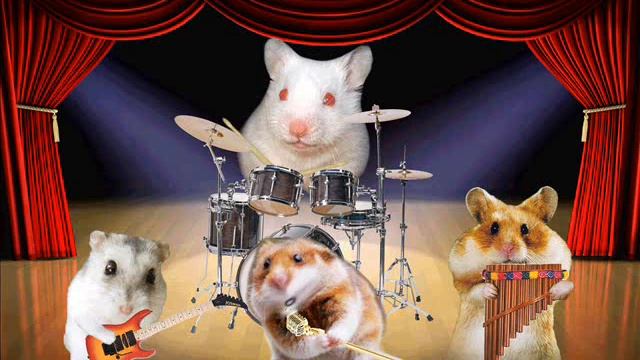 Dubstep hamster смотреть онлайн