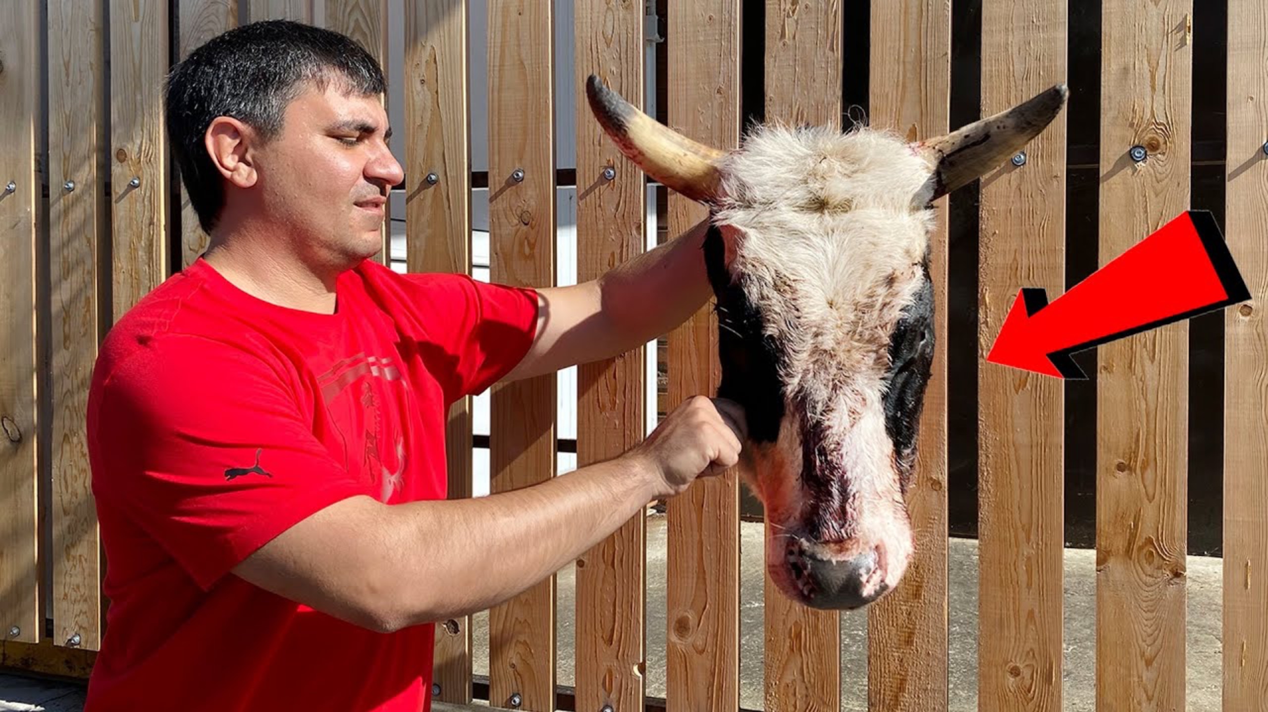 Говяжьи ЩЕЧКИ по РЕЦЕПТУ Гордона Рамзи в АФГАНСКОМ КАЗАНЕ. (ENG SUB) смотреть онлайн