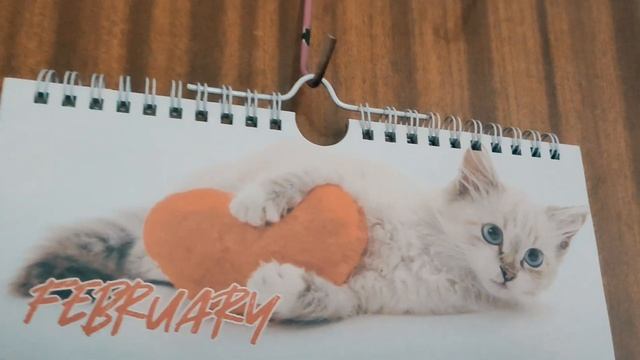 Сима и Лиза