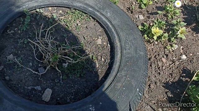 садово огородные дела смотреть онлайн