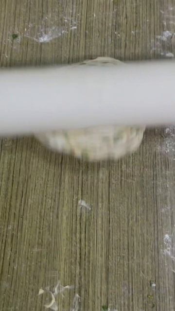 multi layer unique crispy partha #paratha #shorts смотреть онлайн