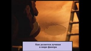 Как производят фанеру