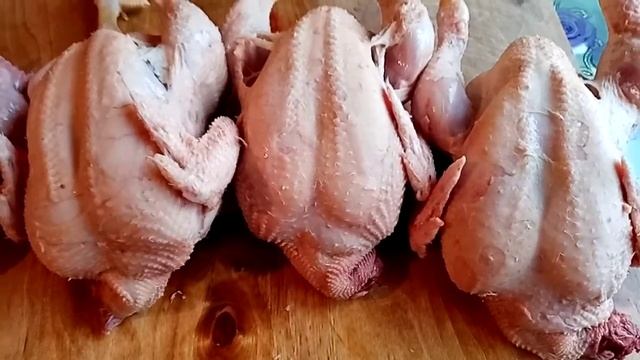 42 дня бройлер. Выбраковка.