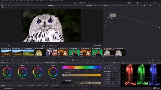 Davinci Reolve Tutorial 172 Assignment Solution смотреть онлайн