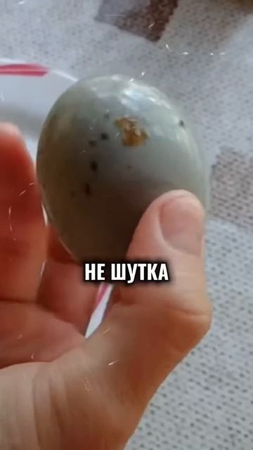 Самые противные блюда в разных странах мира 🤮 смотреть онлайн