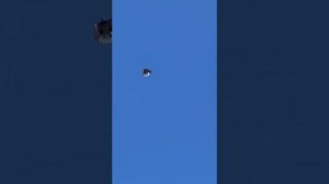 Гуково, серпастые голуби Олега.