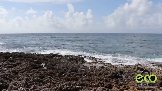 ECO Rides Cayman Sunrise Tour - Beautiful Day смотреть онлайн