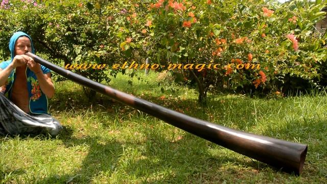 Buy Didgeridoo Online смотреть онлайн
