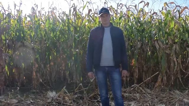 Стимулятори росту рослин та мікродобрива від ГК "Долина" дають стабільну прибавку врожайності до 15 смотреть онлайн