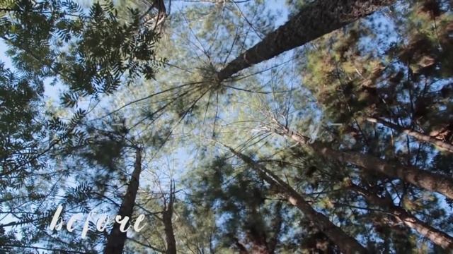 Before - After Noise Reduction (free Preset)