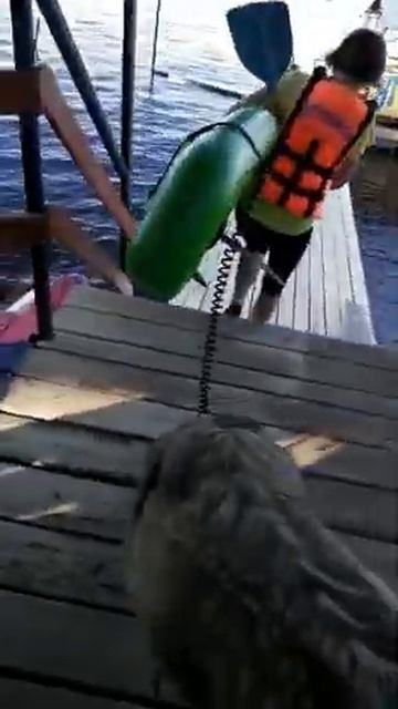 Отдай мой сап! Give me my sap! смотреть онлайн