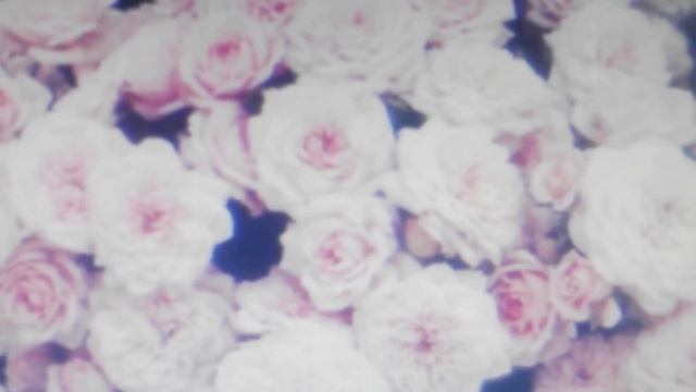 Crystal Castles 