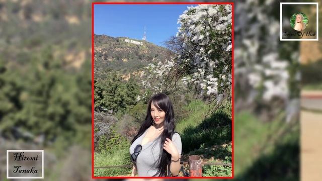 Hitomi Tanaka  Plus Size Model  Curvy Model  Instagram Star  Wiki  Height  Lifestyle