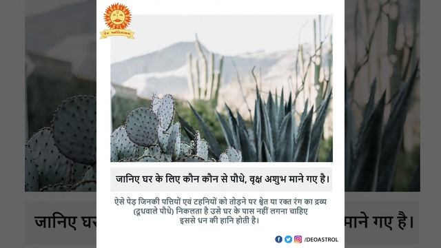 जानिए घर के लिए कौन कौन से पौधे/वृक्ष अशुभ मने गए है | Deoastrol смотреть онлайн