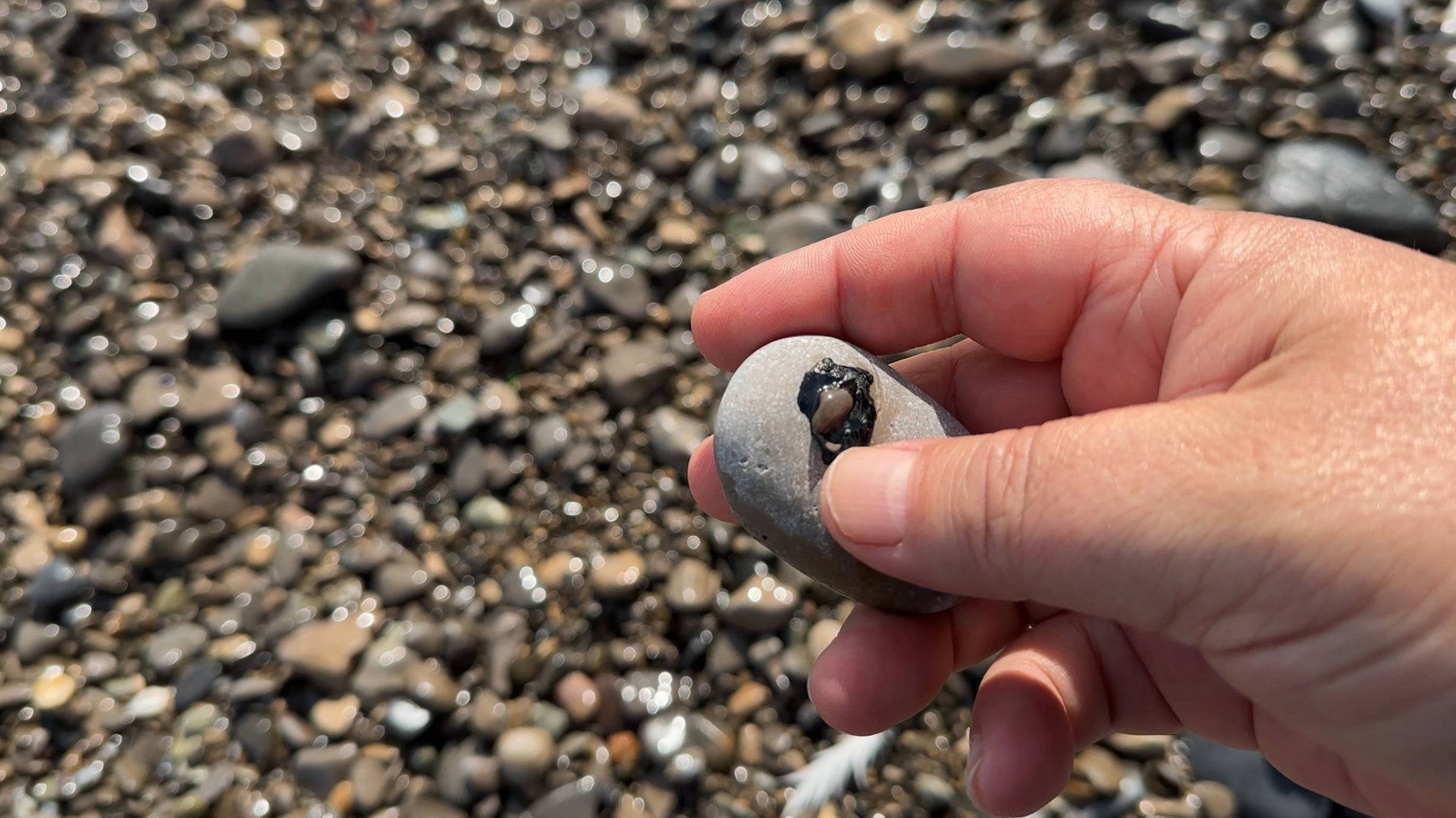 Ежедневная вебкамера Ялты. Что с мазутом. смотреть онлайн