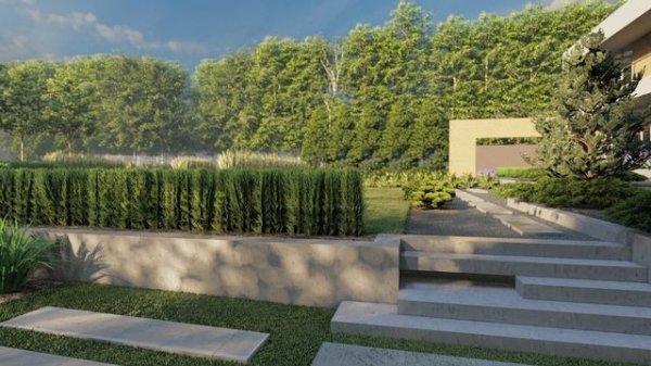 video_2025-03-12_11-58-37