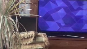 Фрагмент эфира (Телепоиск, 02.10.2021) [Cam-rip]