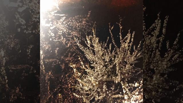 Rory In Early 20s - その箱の中に入る。