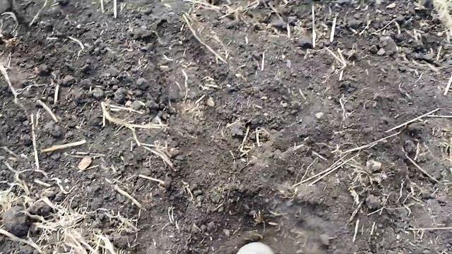 Тест-драйв трактора LOVOL TR2004 220 л.с. смотреть онлайн