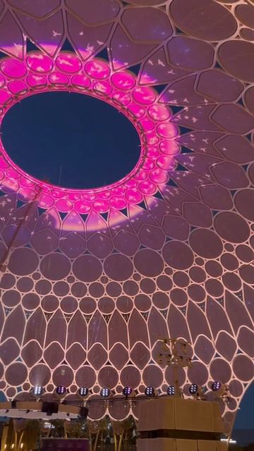 Королёк — птичка певчая/ çalıkuşu / Expo Dubai смотреть онлайн