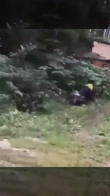 Выйду на улицу, гляну на село))))