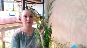 Аспарагусы. Обзор моей маленькой коллекции)