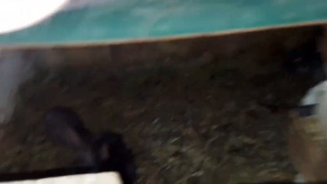 Всё идёт по плану. смотреть онлайн