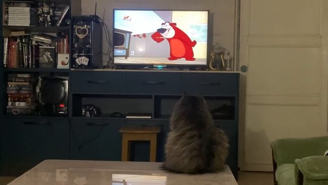 Кассиопея и Вуди Вудпекер