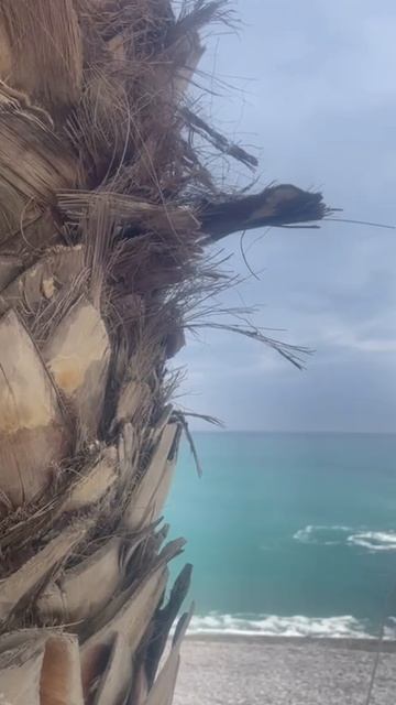 Ялта 💖💖💖 смотреть онлайн