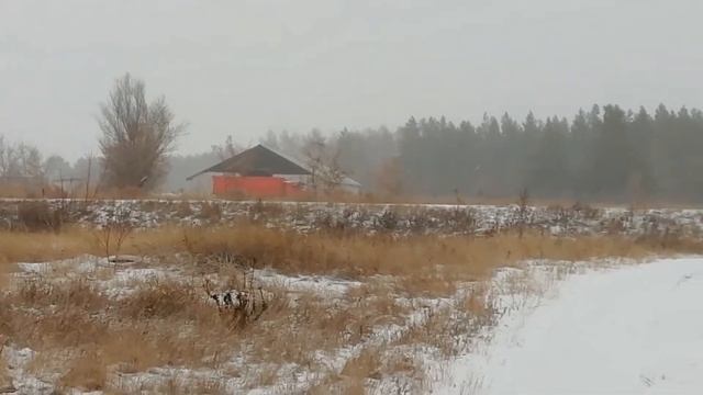 Трактор Беларус 1221.3.Камаз65115, Погрузка удобрений. смотреть онлайн