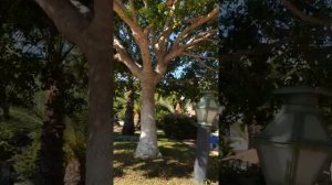 Мармарис, отель "Марти 5*"...отдых в разгар пандемии..сентябрь 2020 год..