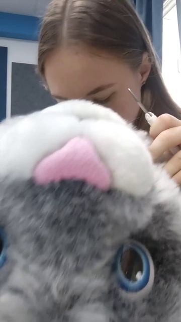 Мы готовимся к выставке ММСО EXPO - 2025 #рилс #выставка #рекомендации #кот #екатеринбург #москва