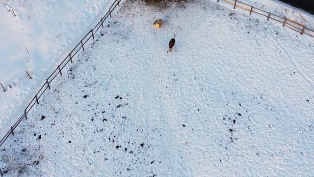 DJI_0452 смотреть онлайн