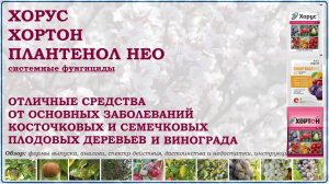 Хорус, Плантенол Нео и Хортон - отличные средства от болезней плодовых деревьев и винограда. Обзор