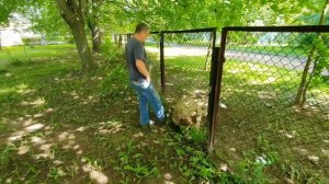 “Перелезаем через заборы в костюме с Алексеем Щербаковым“ ток шоу 3ий выпуск