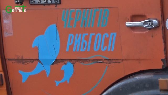 «Ловися рибко…» : в Десну запустили товстолобика, коропа і білого амура