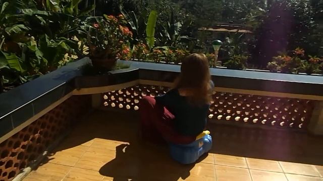 Прекрасный вид с балкона смотреть онлайн