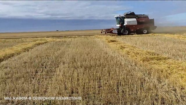 Уборка 2021 с.Кирово. смотреть онлайн