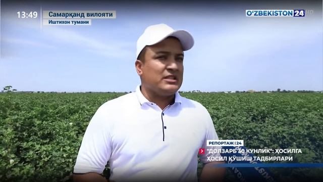 Репортаж 24 | «Долзарб 30 кунлик»: ҳосилга ҳосил қўшиш тадбирлари смотреть онлайн