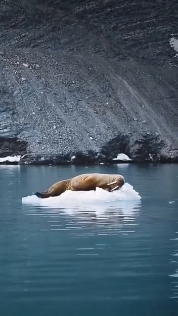 Планы на выходные))) смотреть онлайн