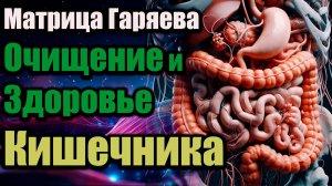 Матрица Гаряева – Очищение и восстановление кишечника