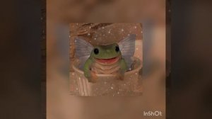 Музыка для уборки или танцев🍵💙🌙