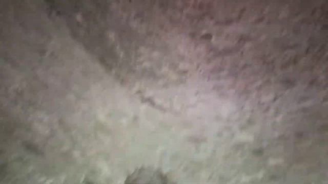 Мистер Хомячок исследует древние замки и подземелья! смотреть онлайн