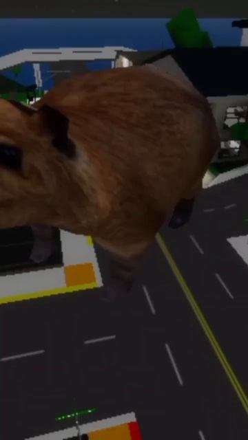 мама снимай на видео Минута славы Ой мы гуляем #roblox смотреть онлайн