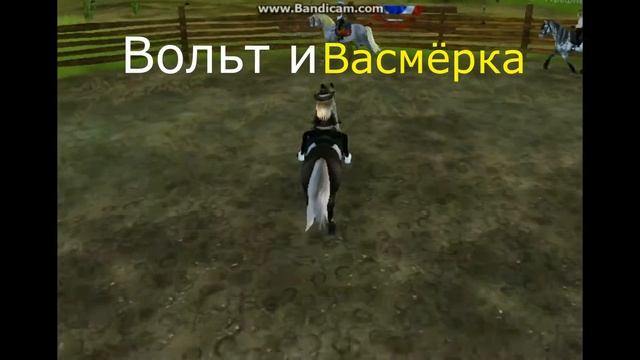 Наша тренеровочная выездка смотреть онлайн