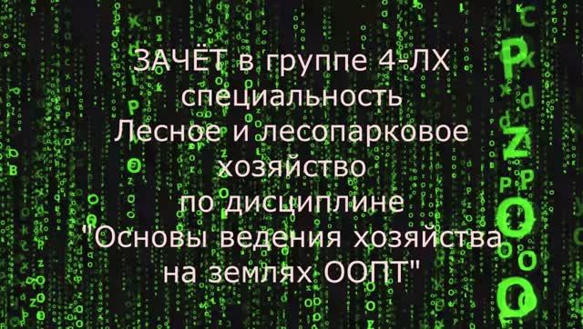 Зачёт по дисциплине 